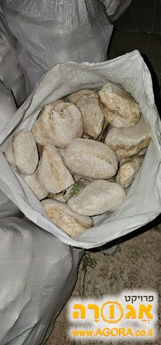 חלוקי נחל לבנים