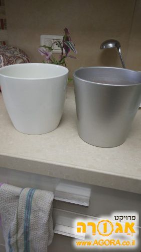 עציצים