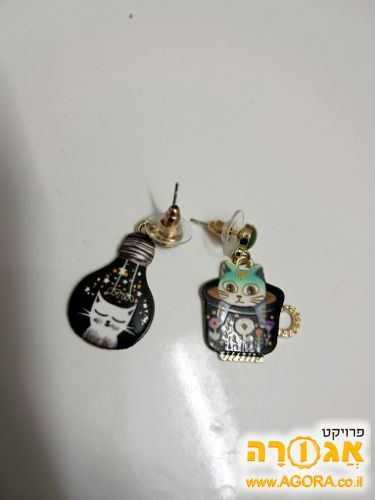 עגילי חתולים