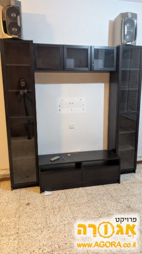 ארון סלוני