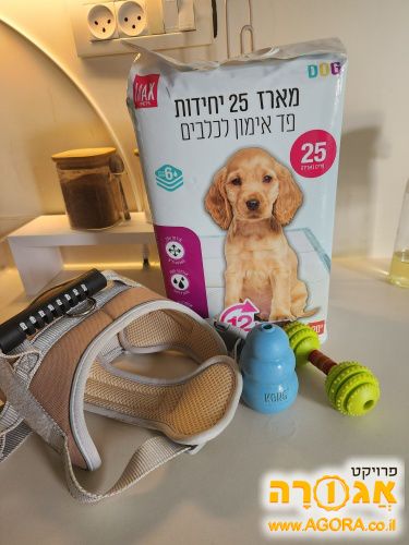 ציוד לכלב