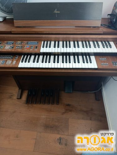 אורגן דו קומתי