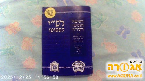 רשי כפשוטו
