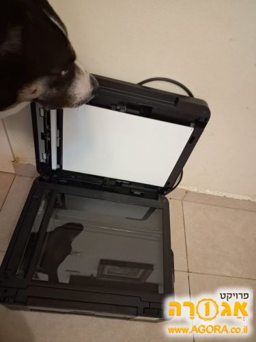 מדפסת פקס סורק