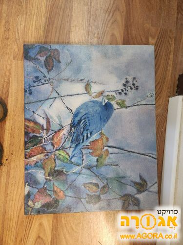 תמונה