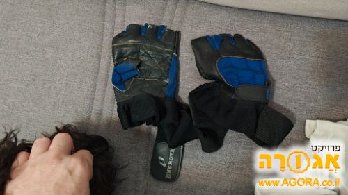 כפפות ספורט
