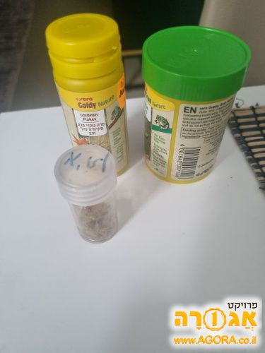 אוכל לדגים