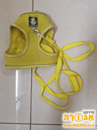 קולר לכלב