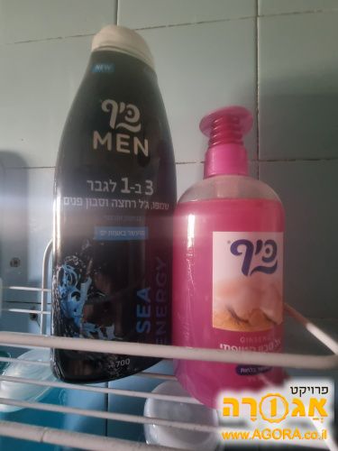 שמפו