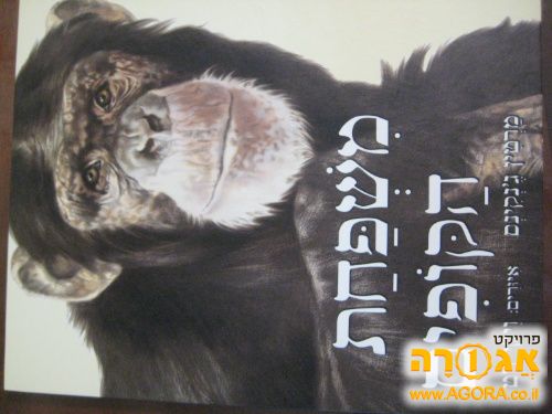 ספר ילדים
