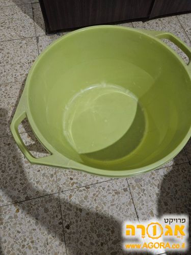 גיגית