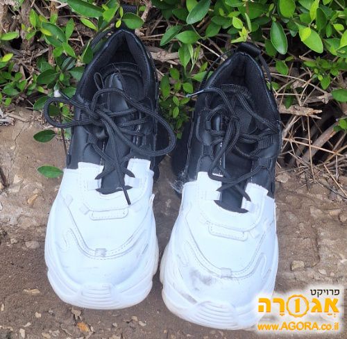 נעלי ספורט