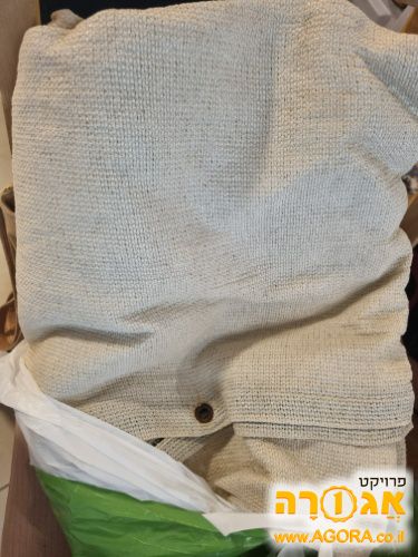 ציליה
