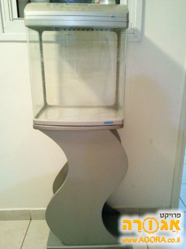 אקווריום ומעמד