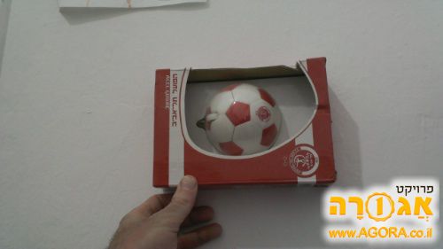 עכבר למחשב