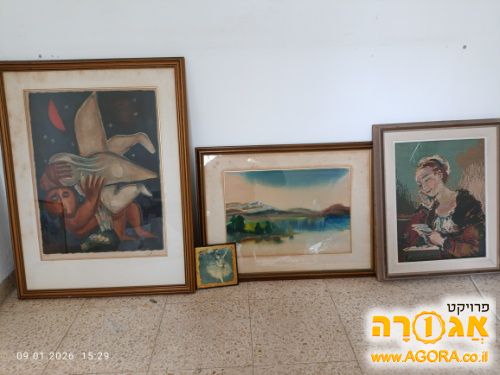 תמונות 2