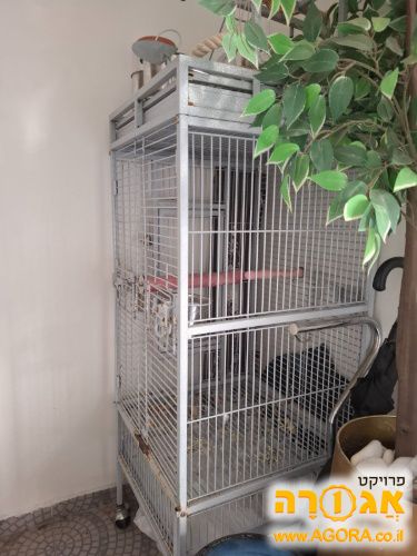 כלוב לתוכי