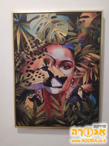 תמונה 80/60