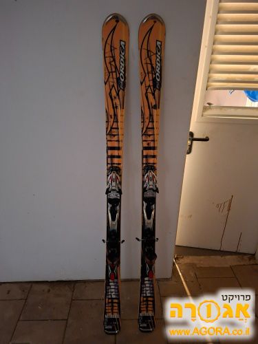 מגלשי סקי