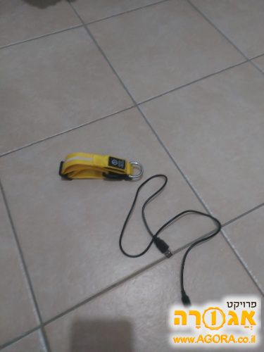 קולר מאיר לכלב