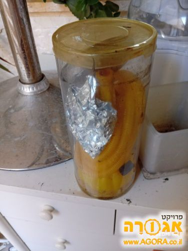 נרגילה קטנה