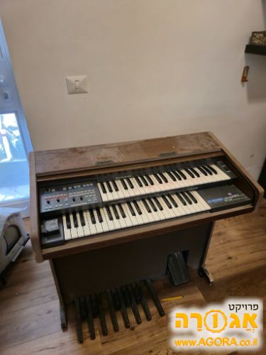 אורגן דו קומתי viscount