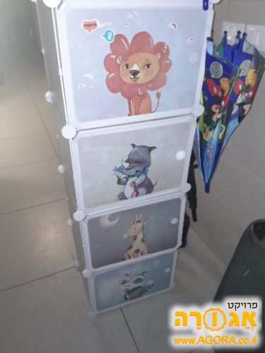 ארונית