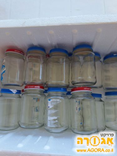 15 צינצנות זכוכית ריקות של מטרנה