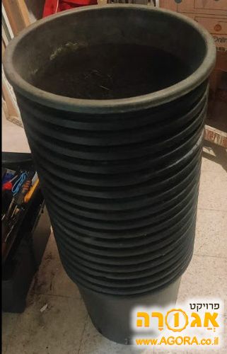 עציצים שחורים גדולים