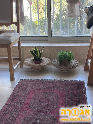שני עציצי בטון כבדים לגינה