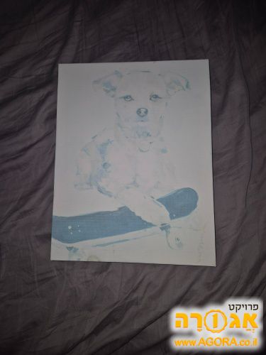 תמונה