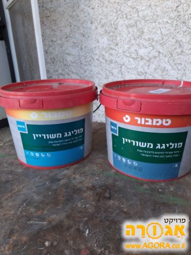 פוליגג