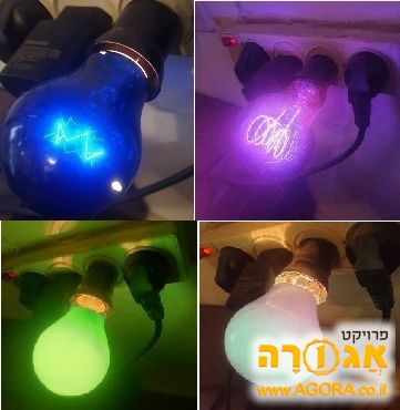 נורות מעוצבות