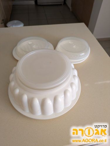 תבניות טאפרווואר