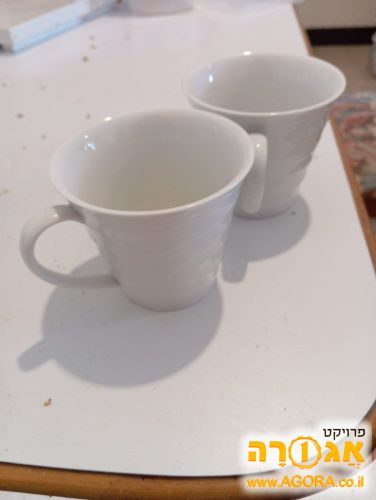 ספלים