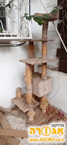 מתקן גירוד לחתול