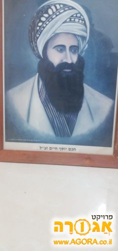 תמונה בן איש חי