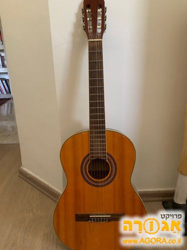 גיטרה קלאסית