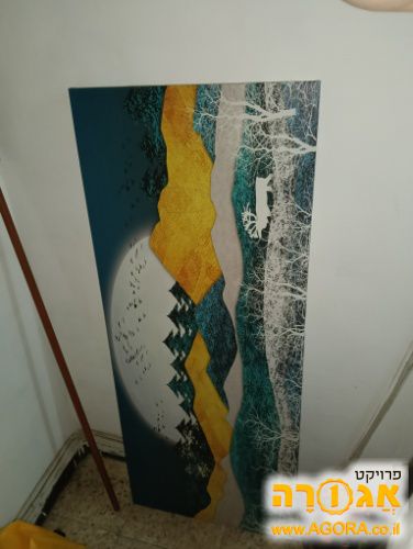 תמונה רחבה