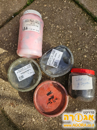 קדרות, קרמיקה, יצירה