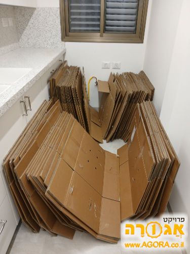 קרטונים
