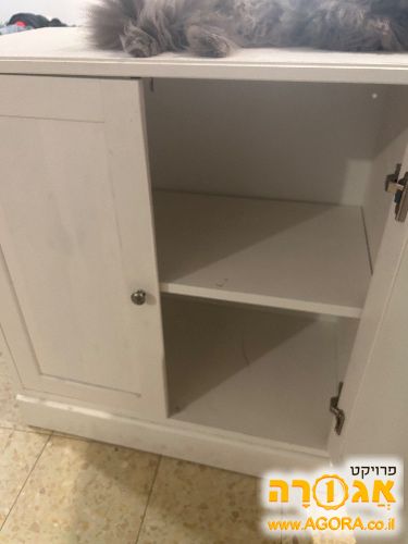 ארונית