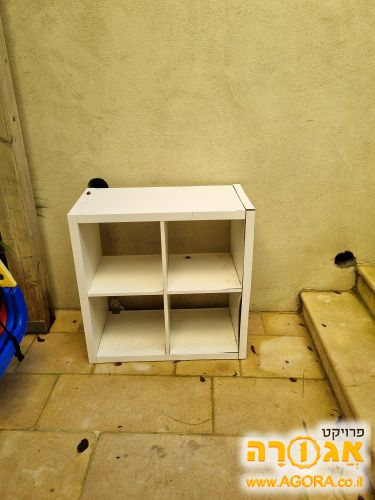 ארונית
