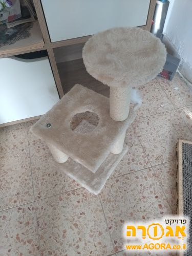 עמוד גירוד לחתול