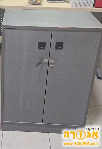 כוננית אפורה