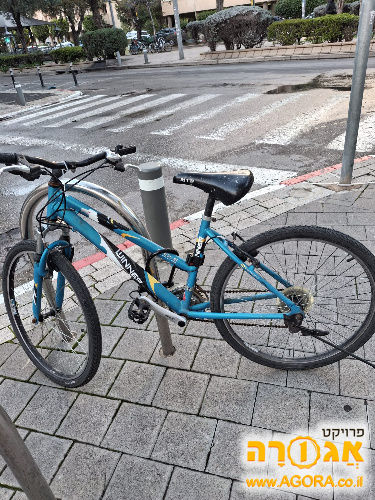 אופנים