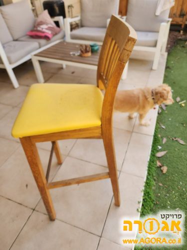 כסא בר
