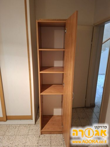 ארונית