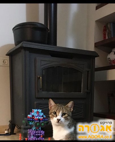 קמין נפט