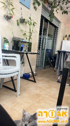 אקווריום כולל שתי פילטרים קטנים ו4 דגים
